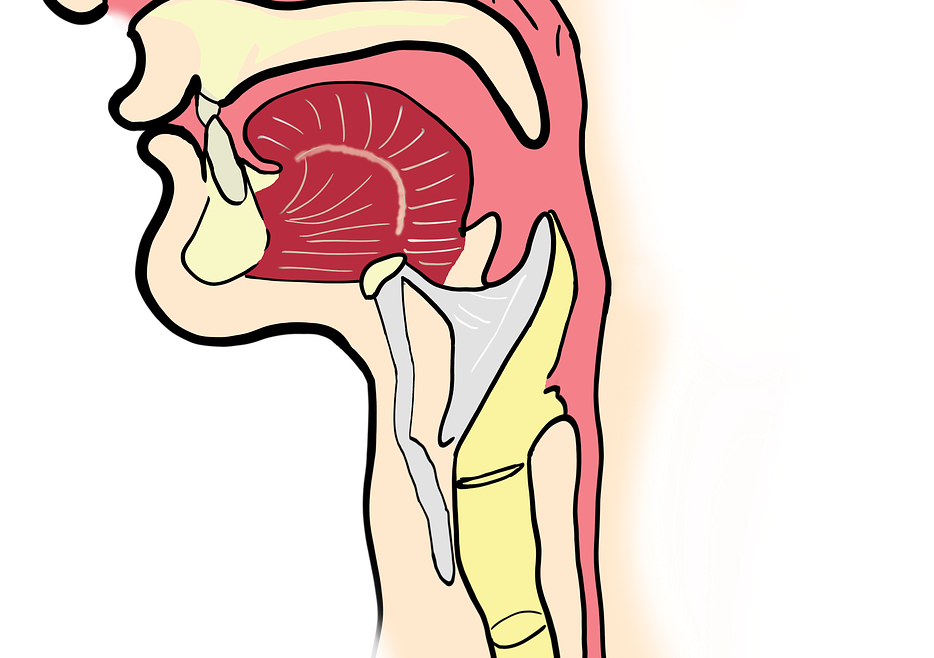 What the Oxford English Dictionary Doesn’t Tell You About parasitic sinusitis